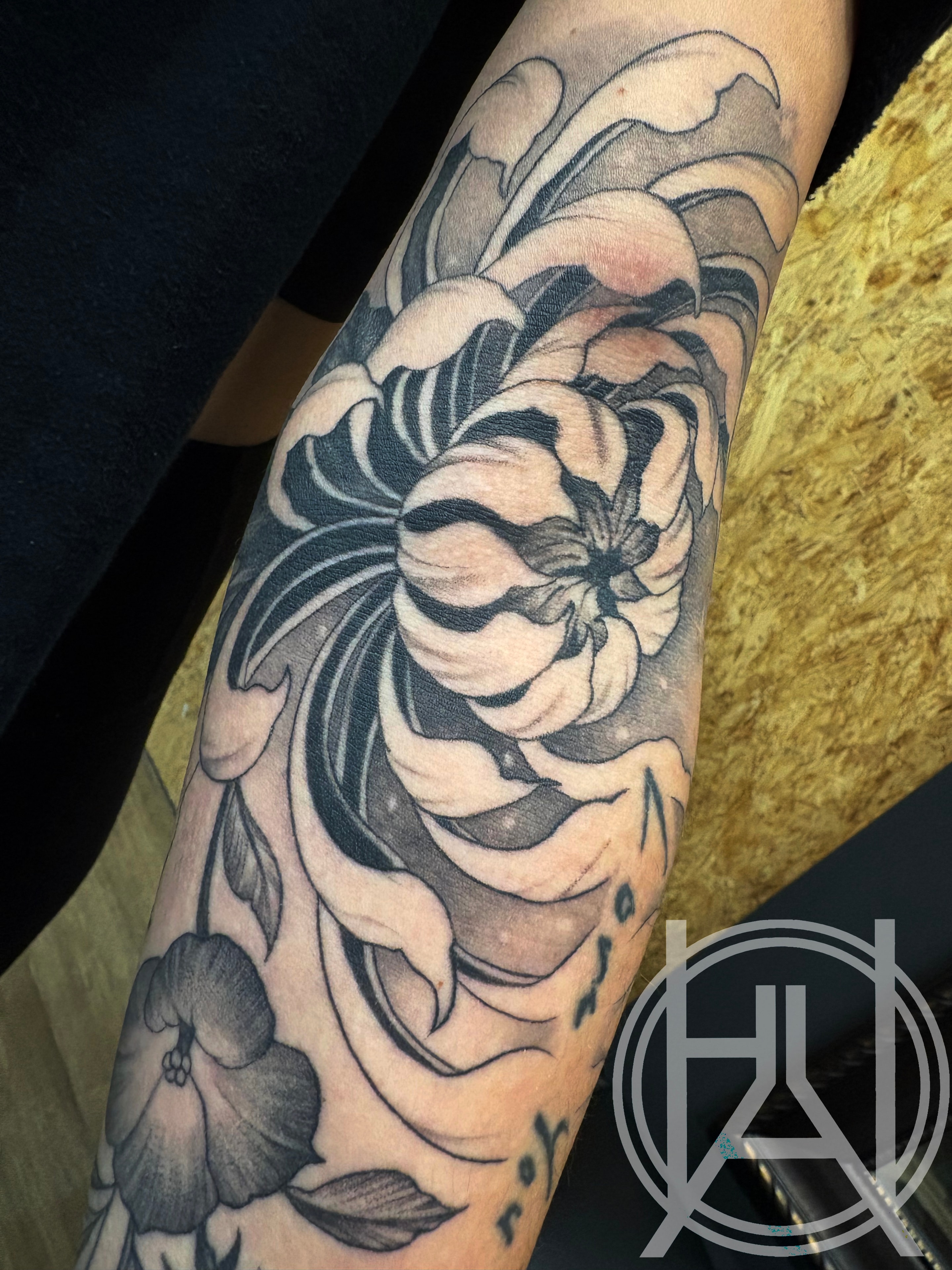 Chrysanthemum Closeup