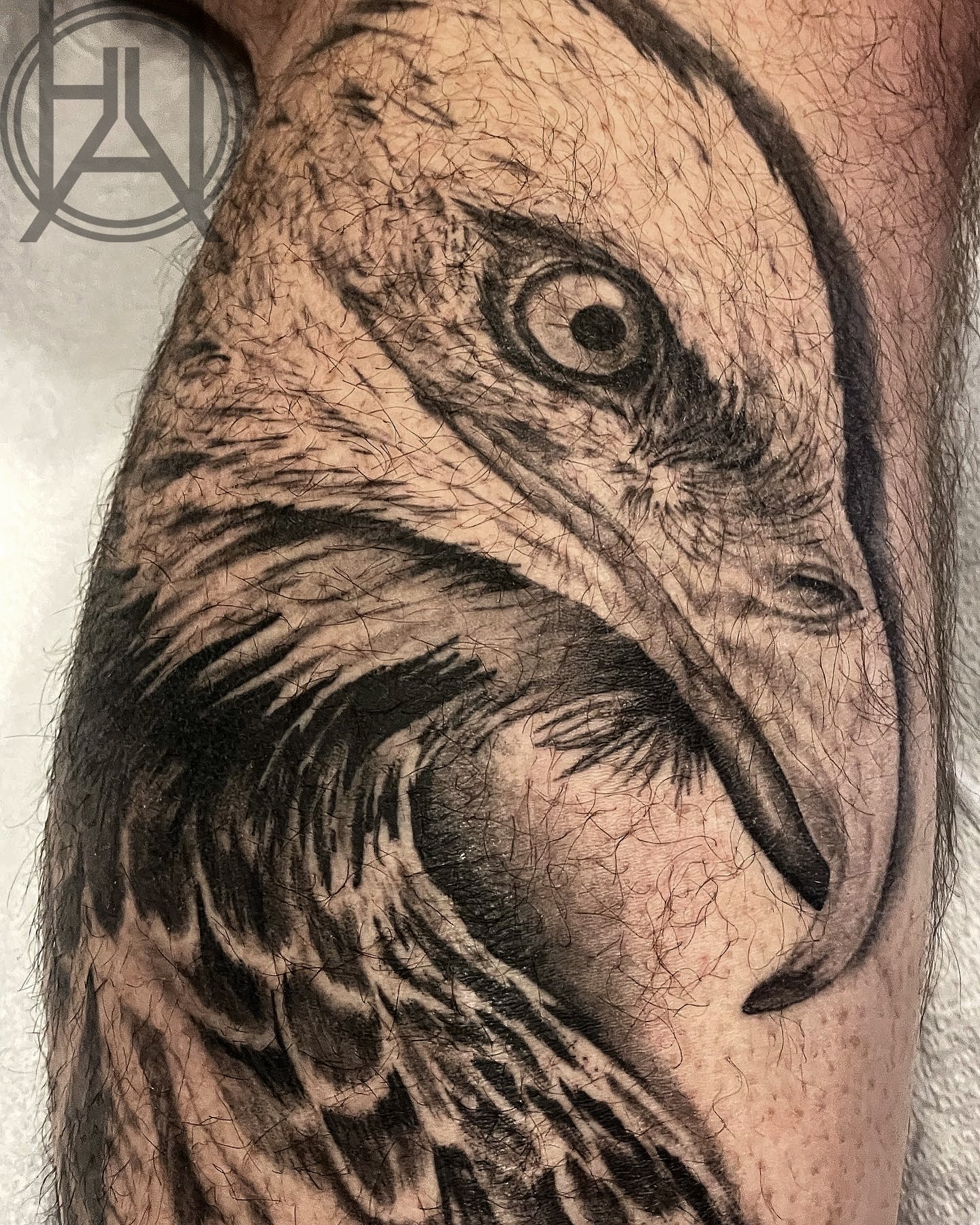 Eagle Head