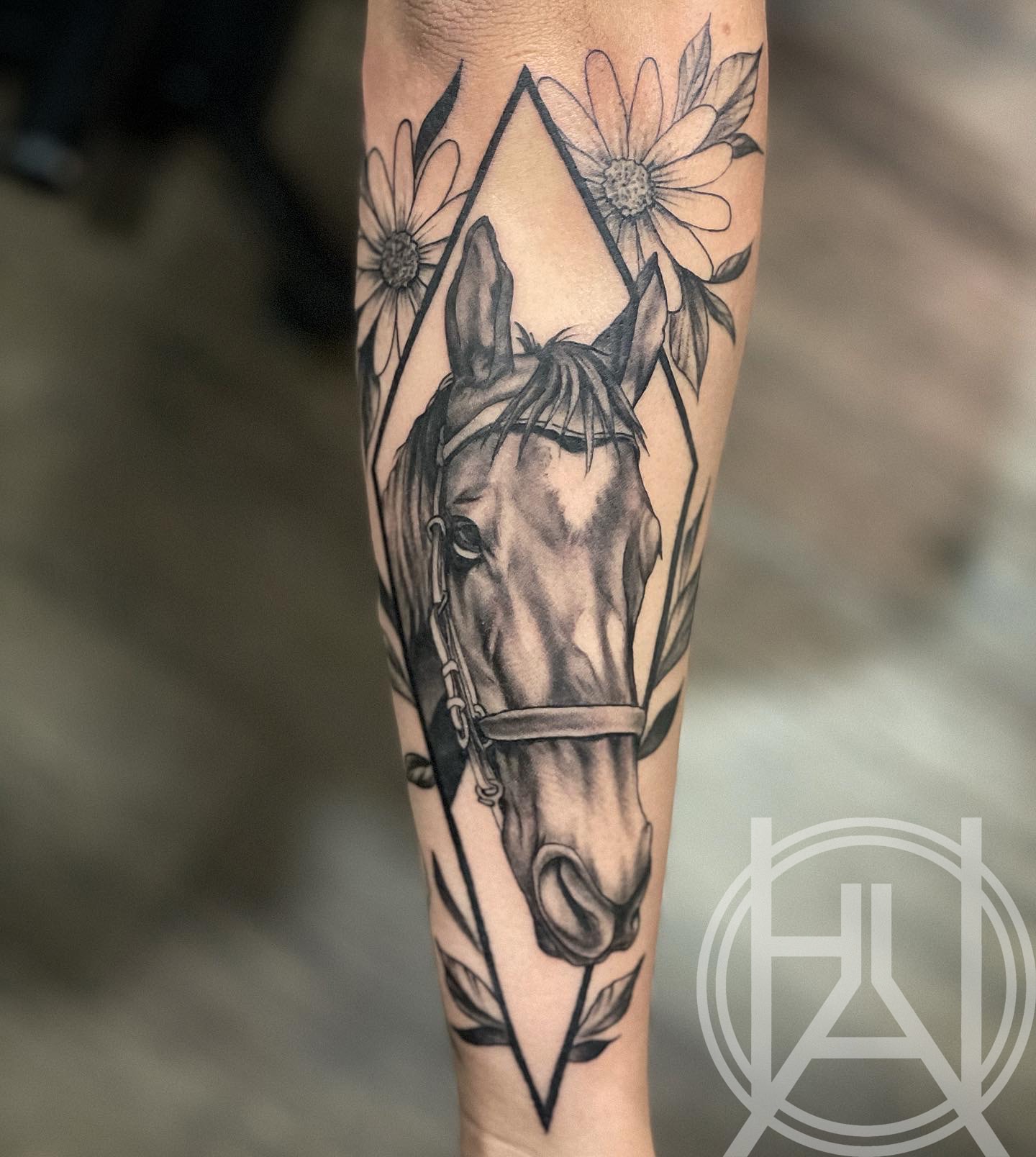Horse & Daisies
