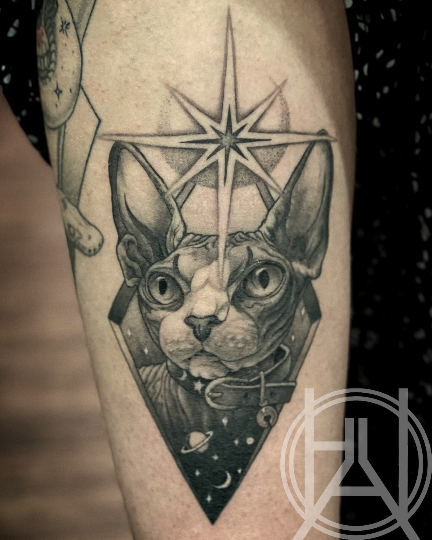 Sphynx Cat & Star
