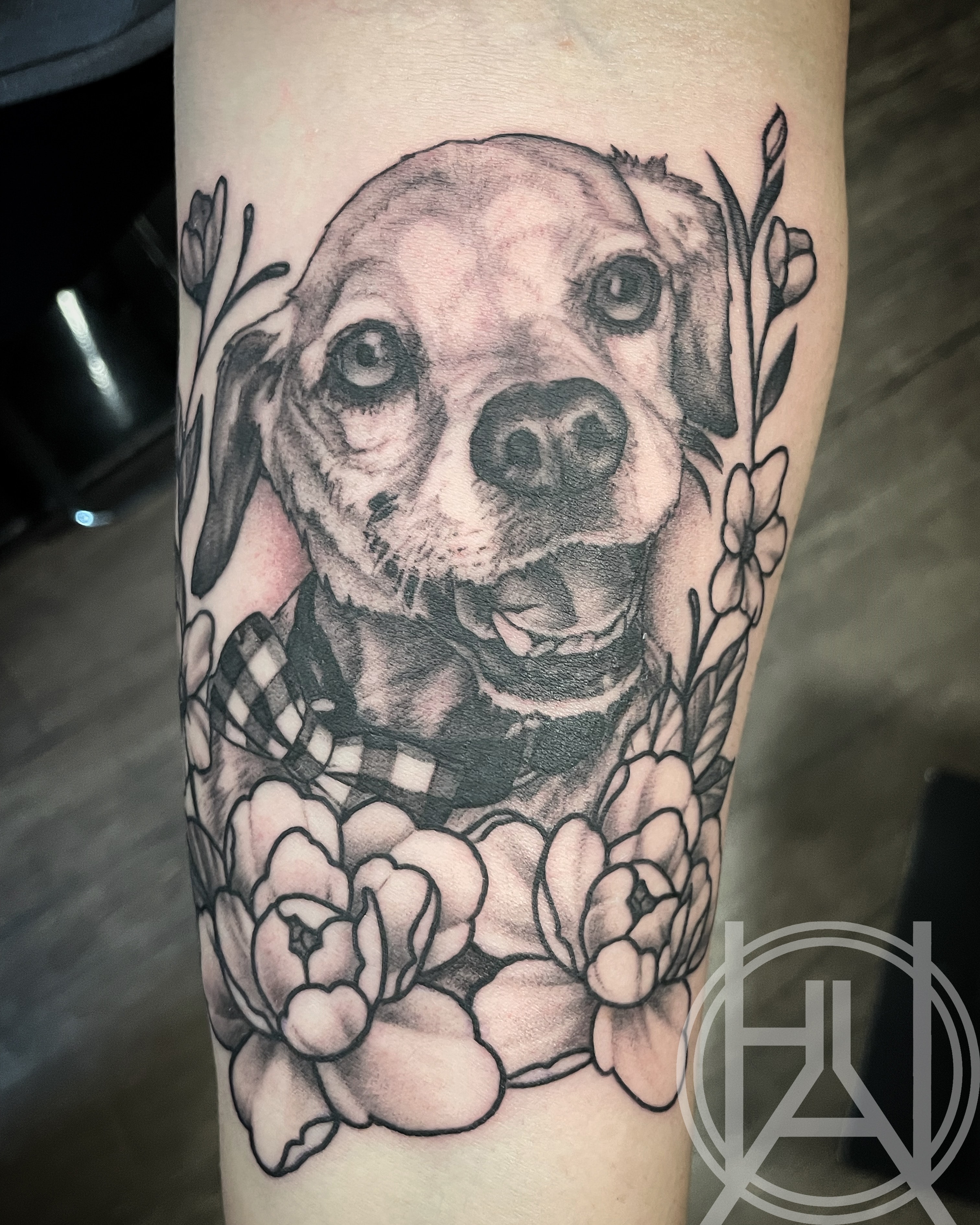 Dog Portrait