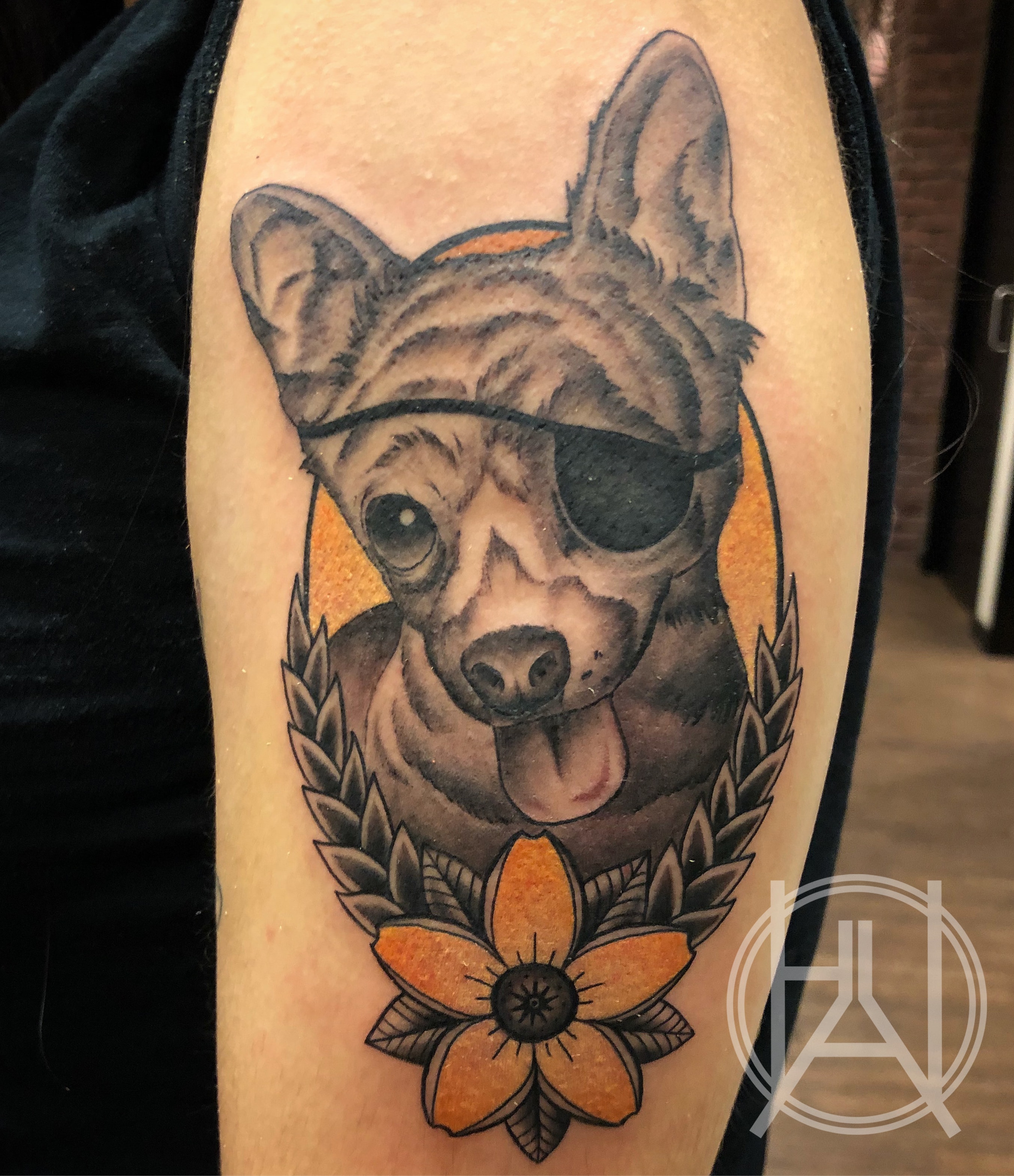 Pirate Dog