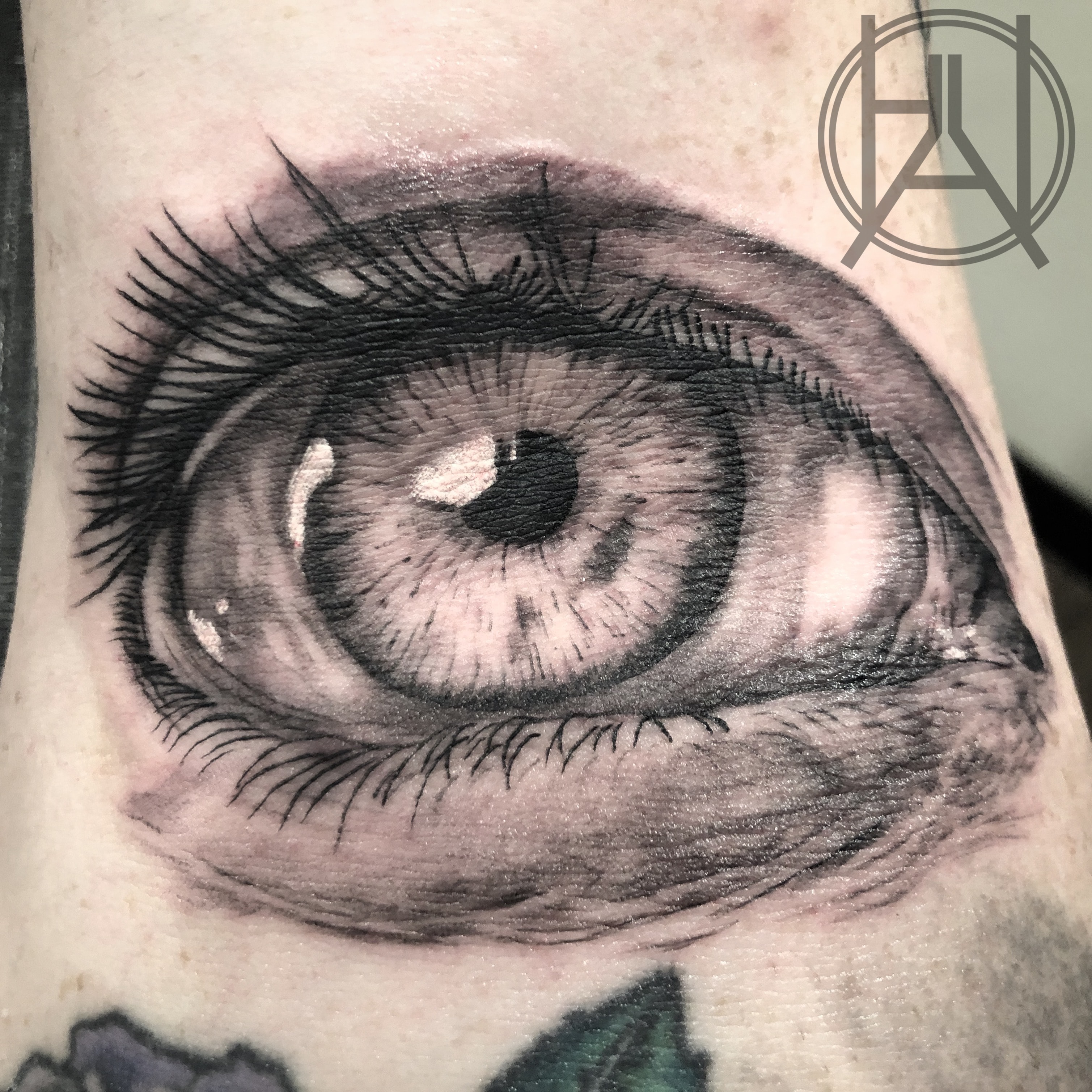 Eyeball Elbow