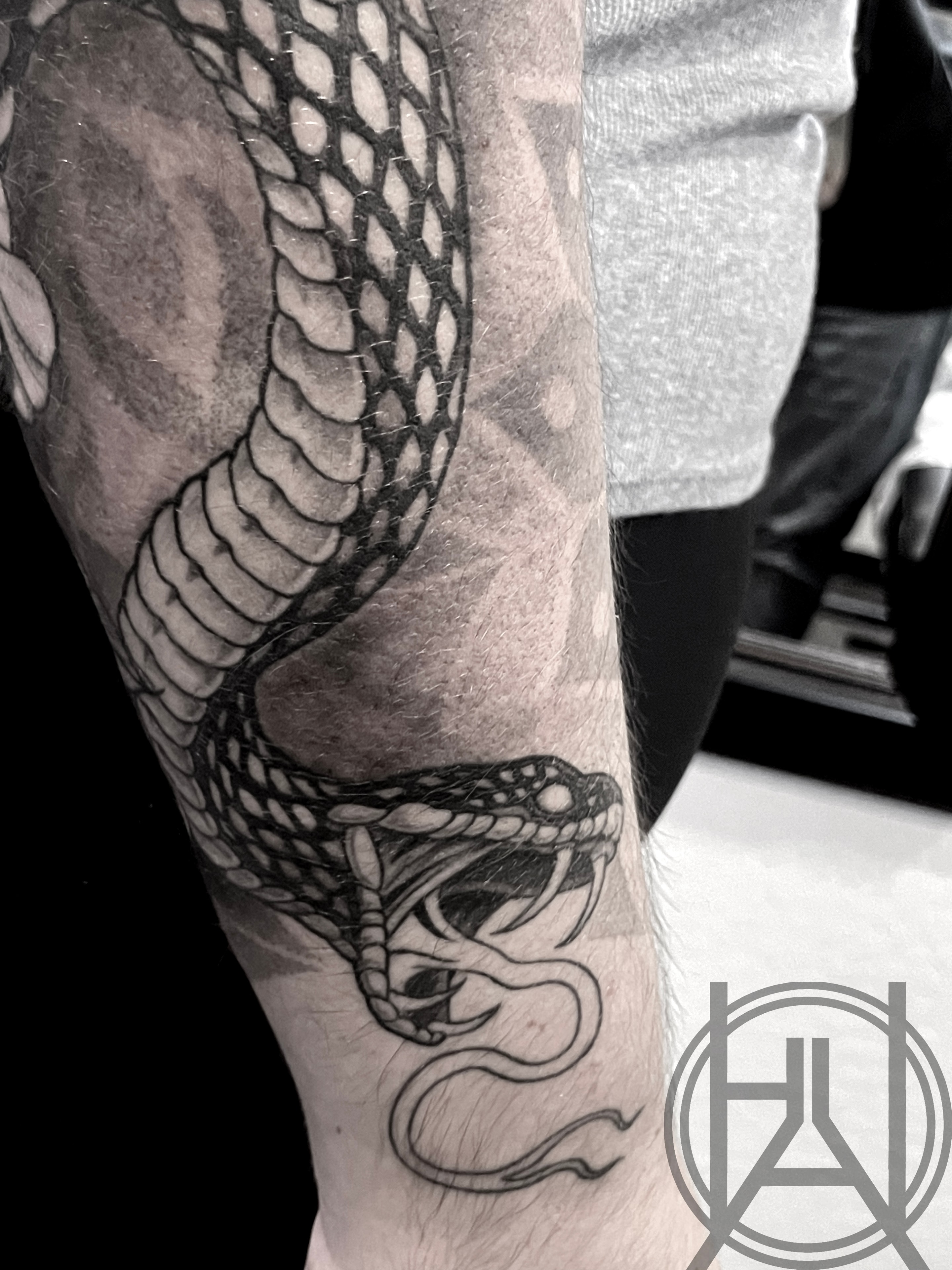 Rattlesnake Forearm
