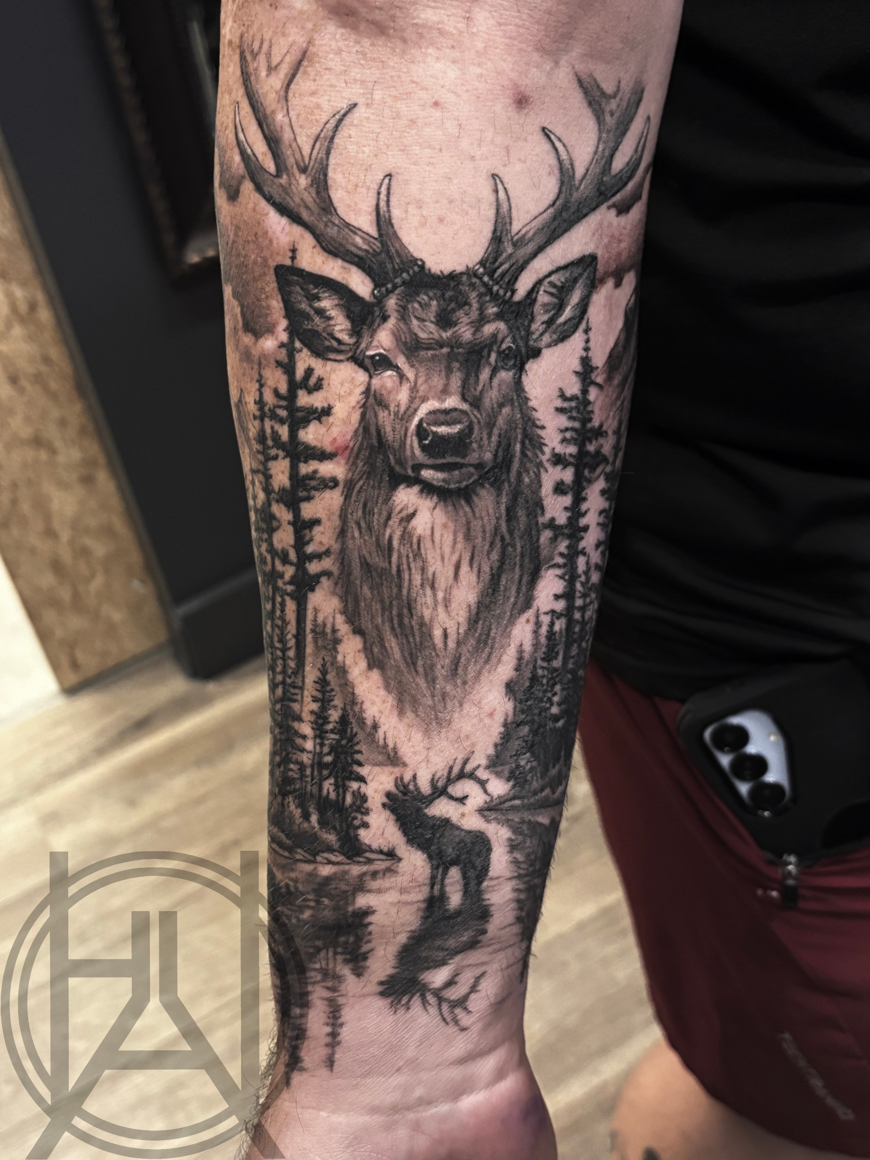 Stag & Forest